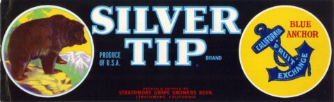 Silver Tip